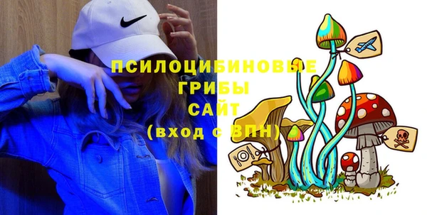 ГАЛЛЮЦИНОГЕННЫЕ ГРИБЫ Михайловка