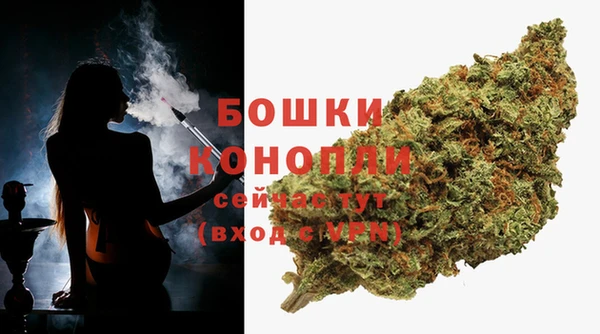 дурь Анива