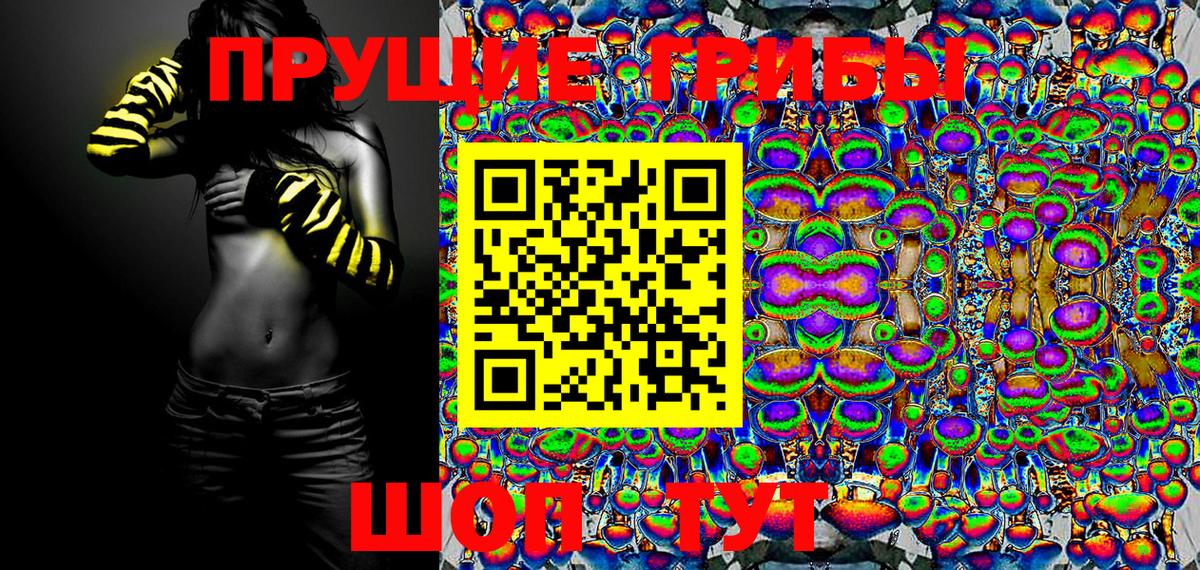 Галлюциногенные грибы GOLDEN TEACHER  Вход с VPN  Псилоцибиновые грибы Cubensis  Карабулак 