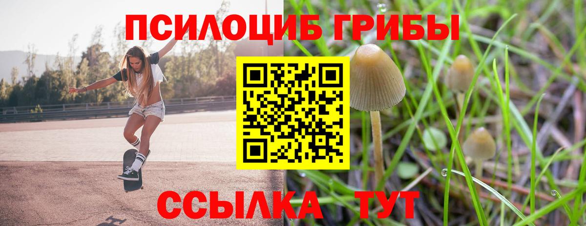Псилоцибиновые грибы Psilocybine cubensis Карабулак
